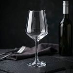 detail BY 9920B elsjoy acrylic wine glass 550ml clear transparent glass black grey premium texture 1