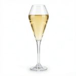 main BY 9921B elsjoy acrylic champagne glass clear transparent glass white background product display 1